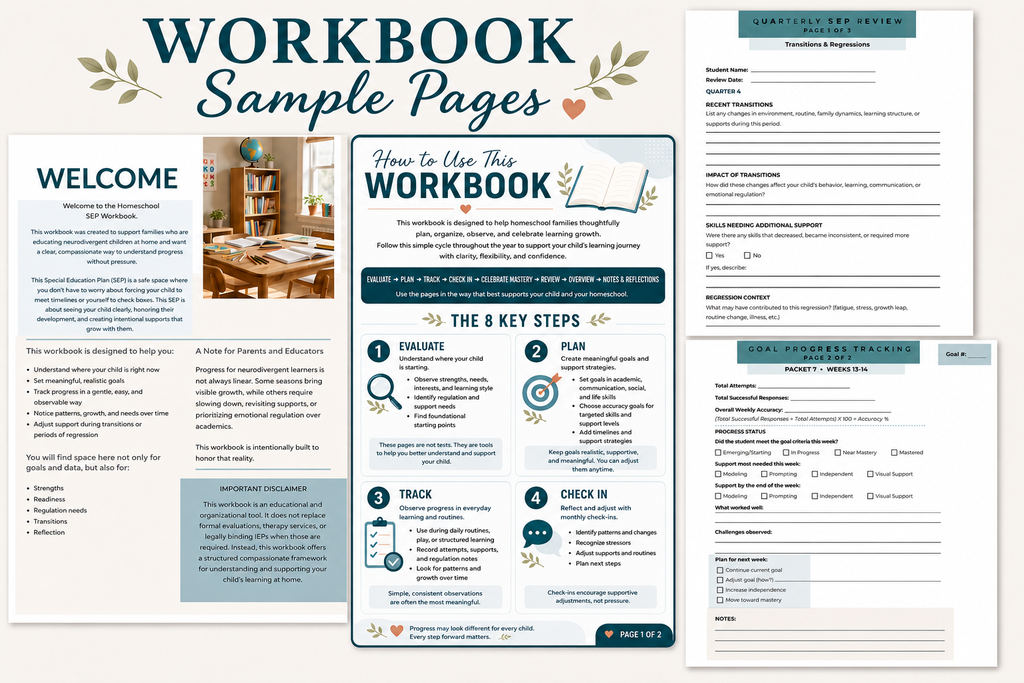 Letters From Lev™ Special Education Plan (SEP) Workbook A Complete Guide to Confident Special Education at Home